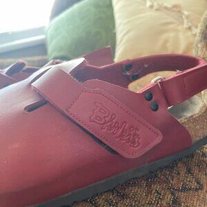 Birkis Clogs